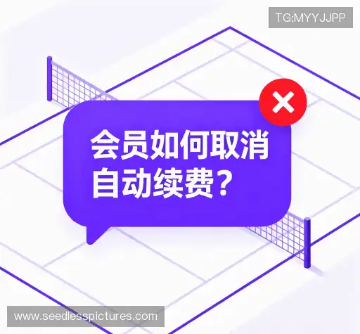 问题解答区